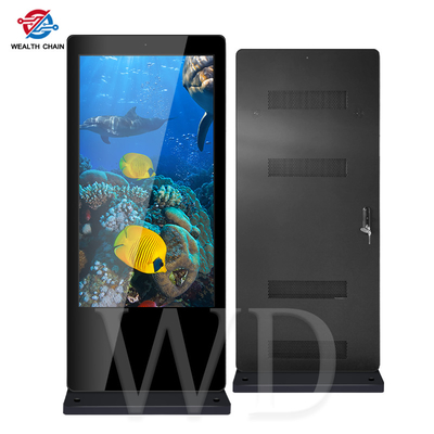 Thin Public 65&quot;  Outdoor LCD Digital Signage Kiosk Network Version
